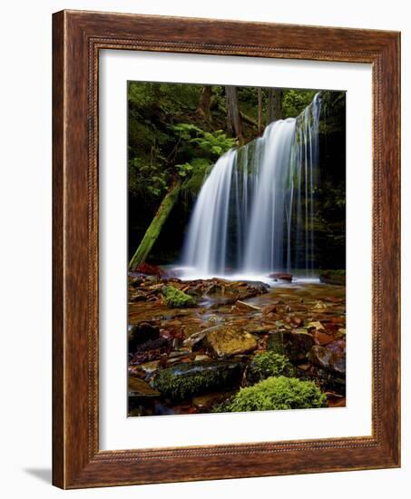 Fern Falls, Coeur D'Alene National Forest, Idaho Panhandle National Forests, Idaho, United States o-James Hager-Framed Photographic Print