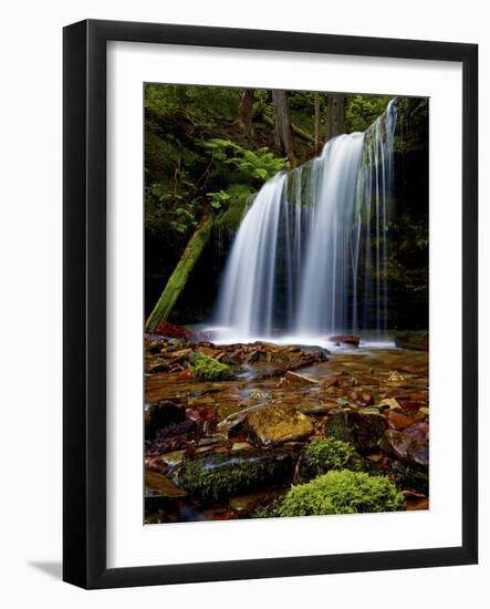 Fern Falls, Coeur D'Alene National Forest, Idaho Panhandle National Forests, Idaho, United States o-James Hager-Framed Photographic Print