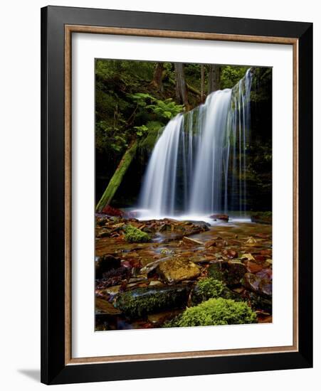 Fern Falls, Coeur D'Alene National Forest, Idaho Panhandle National Forests, Idaho, United States o-James Hager-Framed Photographic Print