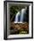 Fern Falls, Coeur D'Alene National Forest, Idaho Panhandle National Forests, Idaho, United States o-James Hager-Framed Photographic Print