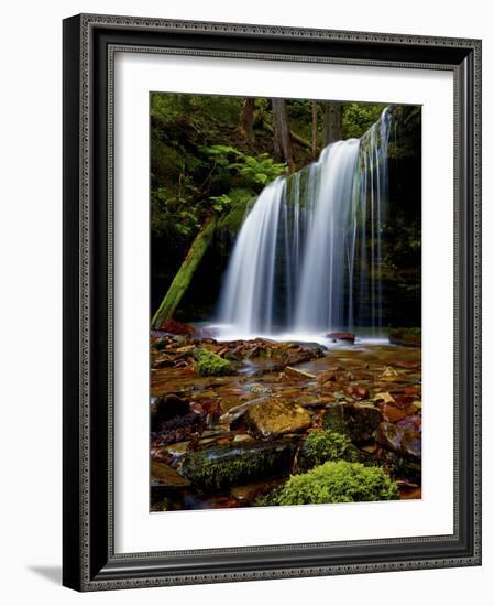 Fern Falls, Coeur D'Alene National Forest, Idaho Panhandle National Forests, Idaho, United States o-James Hager-Framed Photographic Print