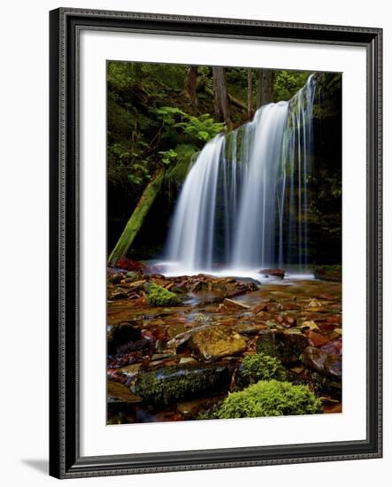 Fern Falls, Coeur D'Alene National Forest, Idaho Panhandle National Forests, Idaho, United States o-James Hager-Framed Photographic Print