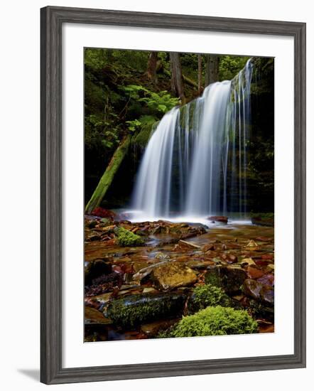 Fern Falls, Coeur D'Alene National Forest, Idaho Panhandle National Forests, Idaho, United States o-James Hager-Framed Photographic Print