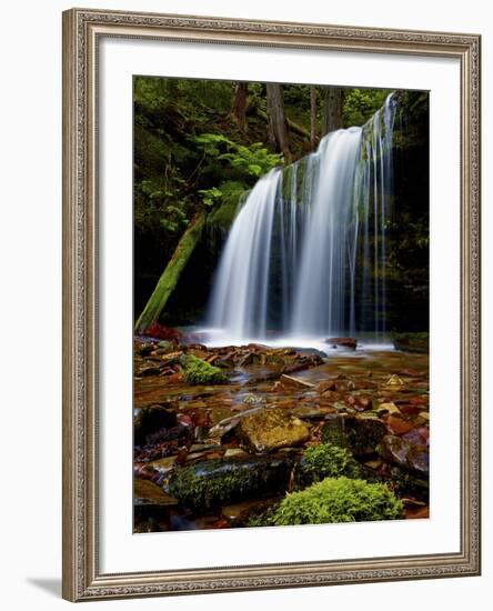 Fern Falls, Coeur D'Alene National Forest, Idaho Panhandle National Forests, Idaho, United States o-James Hager-Framed Photographic Print