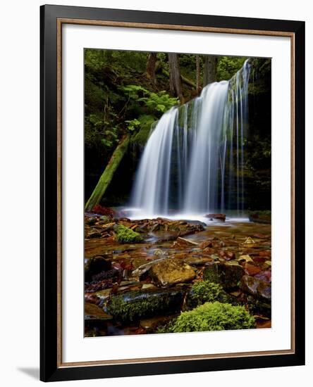 Fern Falls, Coeur D'Alene National Forest, Idaho Panhandle National Forests, Idaho, United States o-James Hager-Framed Photographic Print