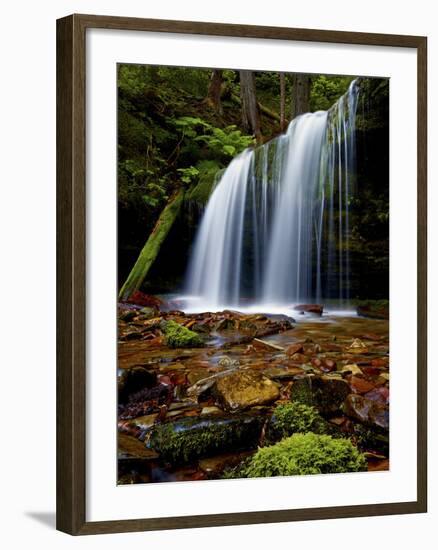 Fern Falls, Coeur D'Alene National Forest, Idaho Panhandle National Forests, Idaho, United States o-James Hager-Framed Photographic Print