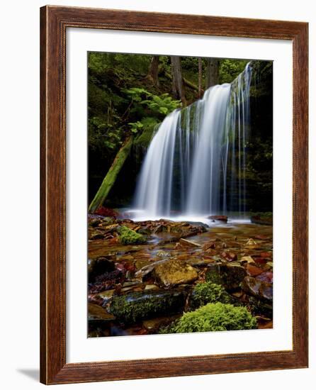 Fern Falls, Coeur D'Alene National Forest, Idaho Panhandle National Forests, Idaho, United States o-James Hager-Framed Photographic Print