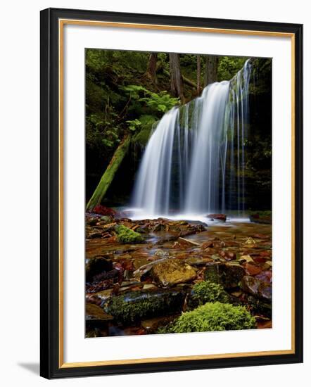 Fern Falls, Coeur D'Alene National Forest, Idaho Panhandle National Forests, Idaho, United States o-James Hager-Framed Photographic Print