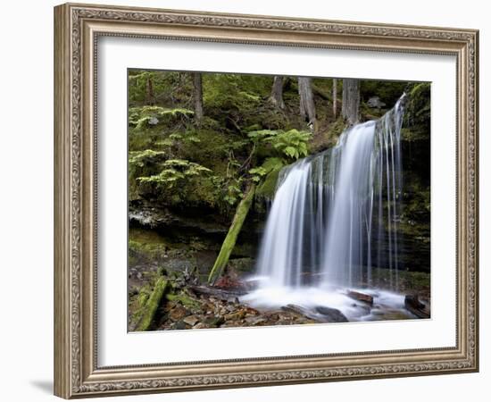 Fern Falls, Coeur D'Alene National Forest, Idaho Panhandle National Forests, Idaho, USA-James Hager-Framed Photographic Print