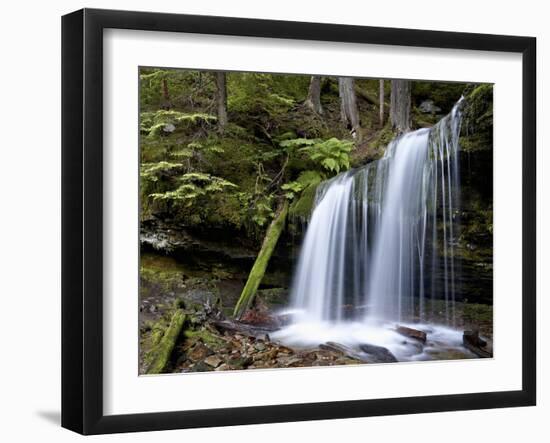 Fern Falls, Coeur D'Alene National Forest, Idaho Panhandle National Forests, Idaho, USA-James Hager-Framed Photographic Print