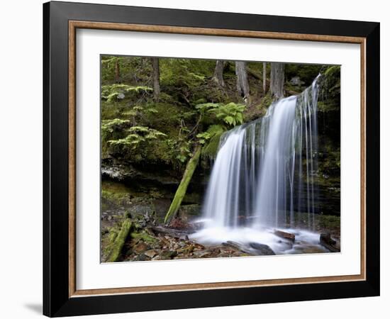 Fern Falls, Coeur D'Alene National Forest, Idaho Panhandle National Forests, Idaho, USA-James Hager-Framed Photographic Print