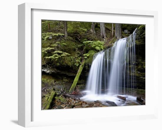 Fern Falls, Coeur D'Alene National Forest, Idaho Panhandle National Forests, Idaho, USA-James Hager-Framed Photographic Print