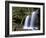 Fern Falls, Coeur D'Alene National Forest, Idaho Panhandle National Forests, Idaho, USA-James Hager-Framed Photographic Print