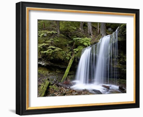 Fern Falls, Coeur D'Alene National Forest, Idaho Panhandle National Forests, Idaho, USA-James Hager-Framed Photographic Print