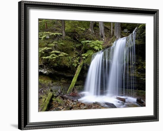 Fern Falls, Coeur D'Alene National Forest, Idaho Panhandle National Forests, Idaho, USA-James Hager-Framed Photographic Print