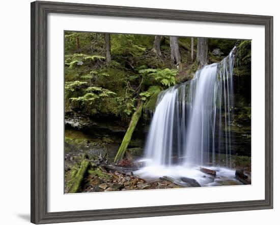 Fern Falls, Coeur D'Alene National Forest, Idaho Panhandle National Forests, Idaho, USA-James Hager-Framed Photographic Print