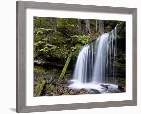 Fern Falls, Coeur D'Alene National Forest, Idaho Panhandle National Forests, Idaho, USA-James Hager-Framed Photographic Print