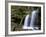 Fern Falls, Coeur D'Alene National Forest, Idaho Panhandle National Forests, Idaho, USA-James Hager-Framed Photographic Print