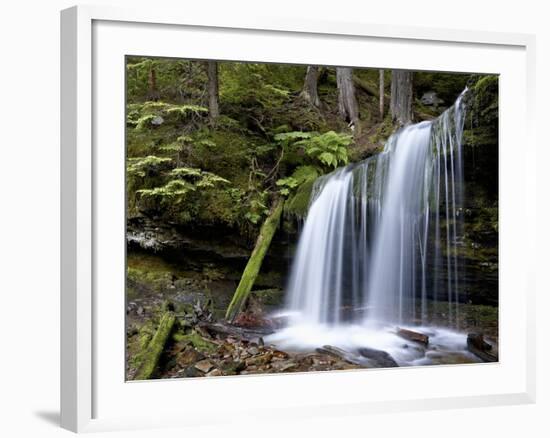 Fern Falls, Coeur D'Alene National Forest, Idaho Panhandle National Forests, Idaho, USA-James Hager-Framed Photographic Print