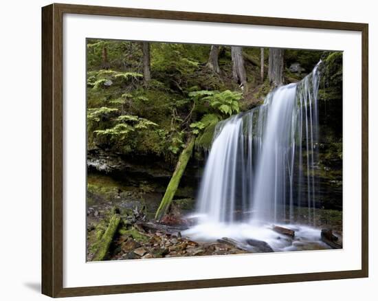 Fern Falls, Coeur D'Alene National Forest, Idaho Panhandle National Forests, Idaho, USA-James Hager-Framed Photographic Print