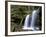 Fern Falls, Coeur D'Alene National Forest, Idaho Panhandle National Forests, Idaho, USA-James Hager-Framed Photographic Print