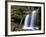 Fern Falls, Coeur D'Alene National Forest, Idaho Panhandle National Forests, Idaho, USA-James Hager-Framed Photographic Print