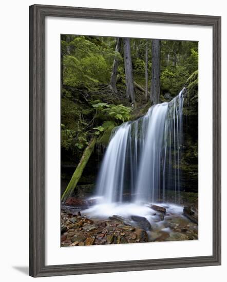 Fern Falls, Coeur D'Alene National Forest, Idaho Panhandle National Forests, Idaho, USA-James Hager-Framed Photographic Print