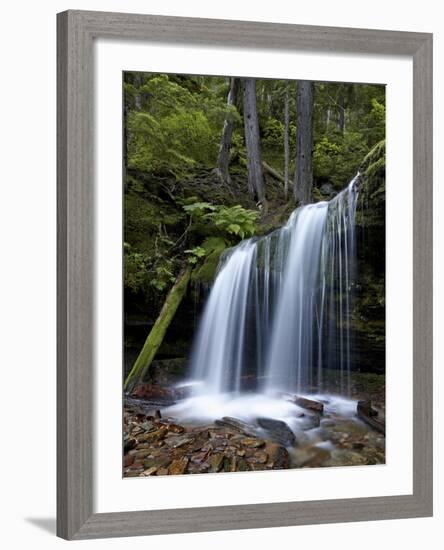 Fern Falls, Coeur D'Alene National Forest, Idaho Panhandle National Forests, Idaho, USA-James Hager-Framed Photographic Print