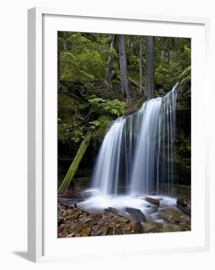 Fern Falls, Coeur D'Alene National Forest, Idaho Panhandle National Forests, Idaho, USA-James Hager-Framed Photographic Print