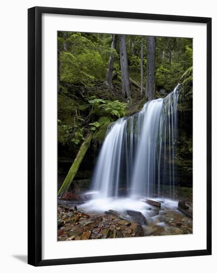 Fern Falls, Coeur D'Alene National Forest, Idaho Panhandle National Forests, Idaho, USA-James Hager-Framed Photographic Print