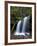 Fern Falls, Coeur D'Alene National Forest, Idaho Panhandle National Forests, Idaho, USA-James Hager-Framed Photographic Print