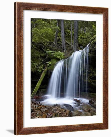 Fern Falls, Coeur D'Alene National Forest, Idaho Panhandle National Forests, Idaho, USA-James Hager-Framed Photographic Print