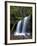 Fern Falls, Coeur D'Alene National Forest, Idaho Panhandle National Forests, Idaho, USA-James Hager-Framed Photographic Print