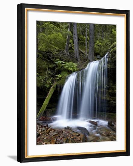 Fern Falls, Coeur D'Alene National Forest, Idaho Panhandle National Forests, Idaho, USA-James Hager-Framed Photographic Print