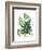 Fern Fantasy Garden I-Alicia Ludwig-Framed Art Print