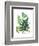 Fern Fantasy Garden I-Alicia Ludwig-Framed Art Print