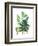 Fern Fantasy Garden I-Alicia Ludwig-Framed Art Print