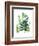 Fern Fantasy Garden I-Alicia Ludwig-Framed Art Print