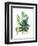 Fern Fantasy Garden I-Alicia Ludwig-Framed Art Print