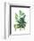 Fern Fantasy Garden I-Alicia Ludwig-Framed Art Print