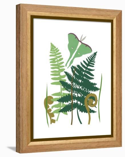 Fern Fantasy Garden I-Alicia Ludwig-Framed Stretched Canvas