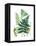 Fern Fantasy Garden I-Alicia Ludwig-Framed Stretched Canvas