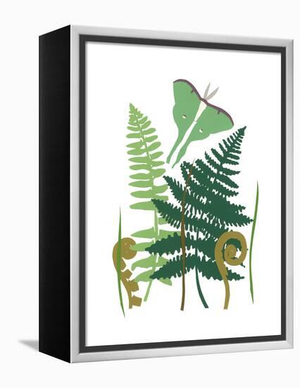 Fern Fantasy Garden I-Alicia Ludwig-Framed Stretched Canvas