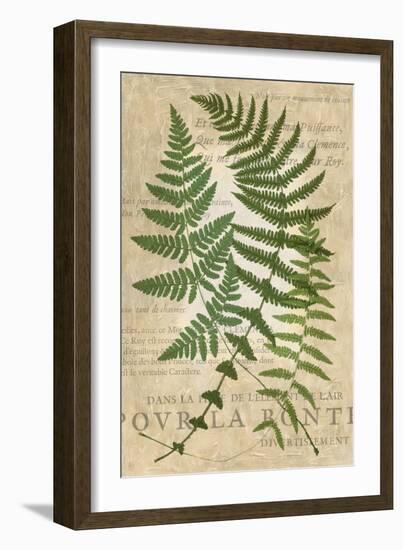 Fern Folio I-Vision Studio-Framed Art Print