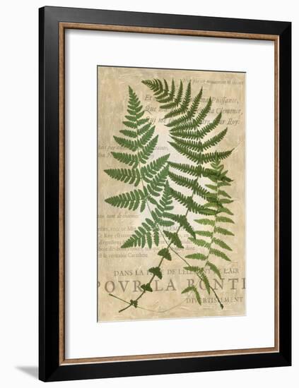 Fern Folio I-Vision Studio-Framed Art Print