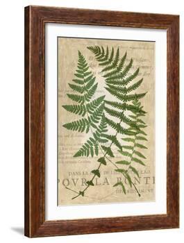 Fern Folio I-Vision Studio-Framed Art Print