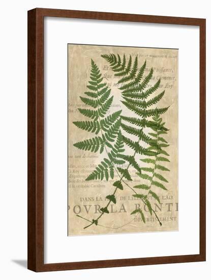 Fern Folio I-Vision Studio-Framed Art Print