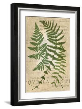 Fern Folio I-Vision Studio-Framed Art Print