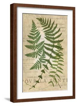 Fern Folio I-Vision Studio-Framed Art Print