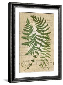 Fern Folio I-Vision Studio-Framed Art Print